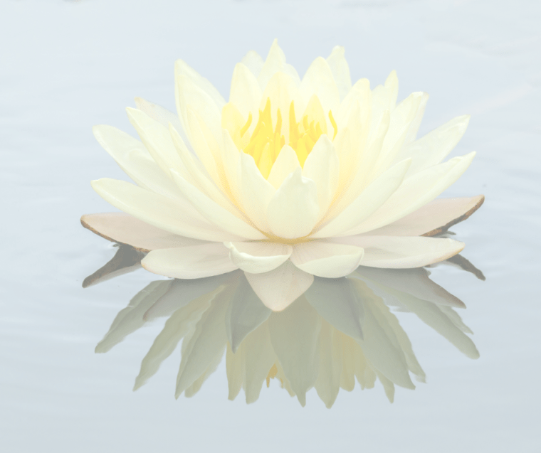 trapped emotions, global energy method, the body code, the emotion code, healing firelfy, a1c, a1c radiance, diabetes, neck pain, back pain, stress, depression, anxiety, abundance, trauma wall, heart wall, heart-wall